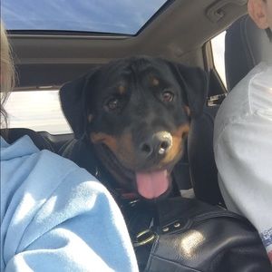 Meet your Posher, Dana